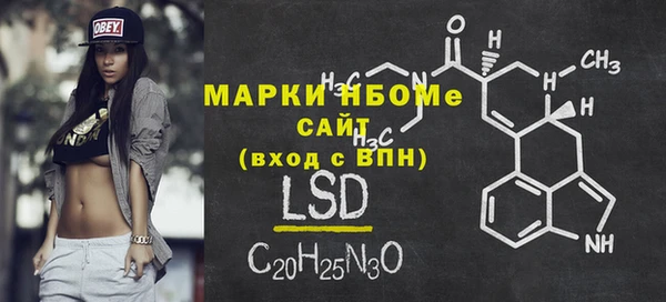 ПСИЛОЦИБИНОВЫЕ ГРИБЫ Арсеньев