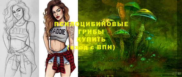 Альфа ПВП Армянск