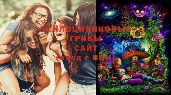 тгк Покров